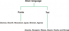 About Akan Twi Resources For Self Instructional Learners Of Less