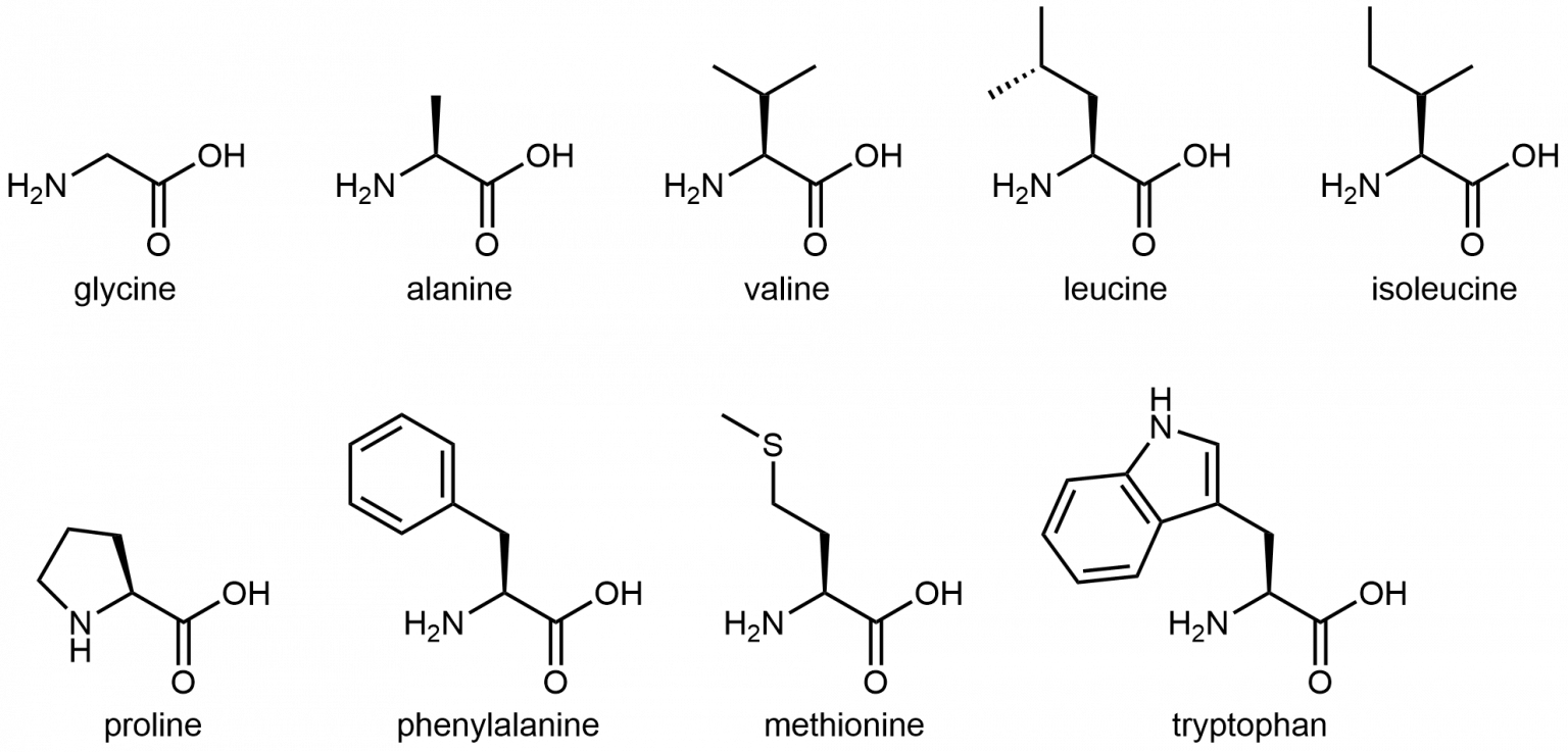 Day Condensation Polymers Proteins Chemistry Fall