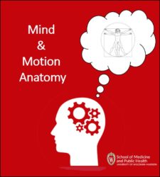 Mind &amp; Motion Anatomy book cover