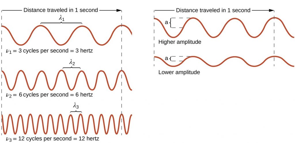 This figure has two parts. On the left side, we see the relationship between wavelength and frequency. Two vertical dotted lines are drawn and the distance between them is labeled “Distance traveled in 1 second”. Below this label are three waves. The top wave completes 3 cycles between the two vertical dotted lines and is labeled as “nu 1 equals 3 cycles per second equals 3 hertz”. The wavelength of this wave is labeled as lambda 1. The middle wave completes 6 cycles between the two vertical dotted lines and is labeled as “nu 2 equals 6 cycles per second equals 6 hertz”. The wavelength of this wave is labeled as lambda 2. The bottom wave completes 12 cycles between the two vertical dotted lines and is labeled as “nu 3 equals 12 cycles per seconds equals 12 hertz”. The wavelength of this wave is labeled as lambda 3. The second part of the figure has two vertical dotted lines and the distance between them is labeled “Distance traveled in 1 second”. Below this are two waves. The top wave is labeled as “High amplitude” and has a high amplitude. The bottom wave is labeled as “low amplitude” and has a low amplitude. These two waves complete the same number of cycles in 1 second and therefore have the same frequency, even if their amplitudes are different.