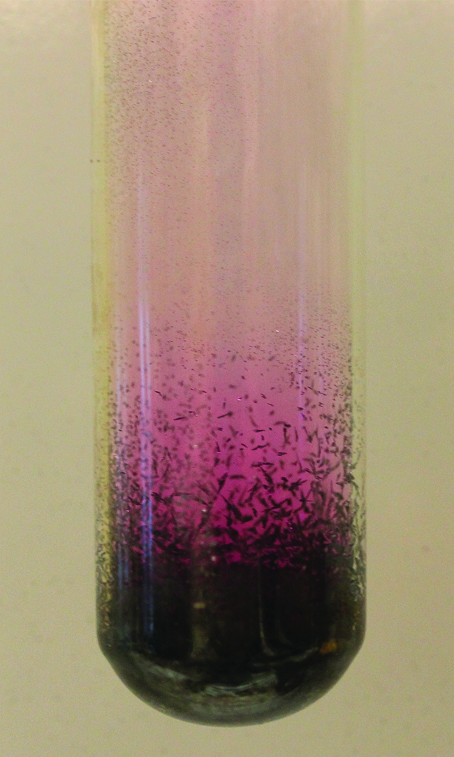 This figure shows a test tube. In the bottom is a dark substance which breaks up into a purple gas at the top.