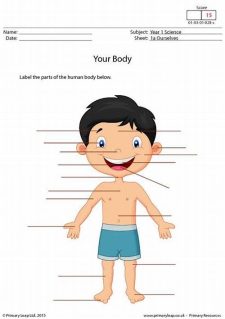 Sehemu za Mwili (Body Parts) – Resources for Self-Instructional ...