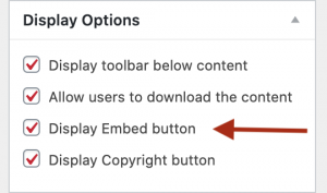 display options include "display toolbar" "allow downloads" "display embed" and "display copyright