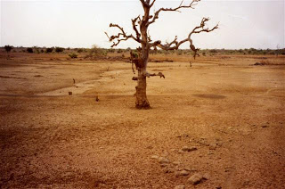 Barren tree in dry, sandy landscape. http://2.bp.blogspot.com/_8YfE3oyOzaw/S8FliARG0uI/AAAAAAAAAMg/Aw_khEZTefU/s320/Zogore002+%28Small%29.jpg