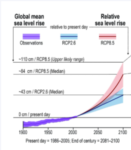 A line graph projecting global mean sea level rise relative to present day based on climate models from the IPCC.