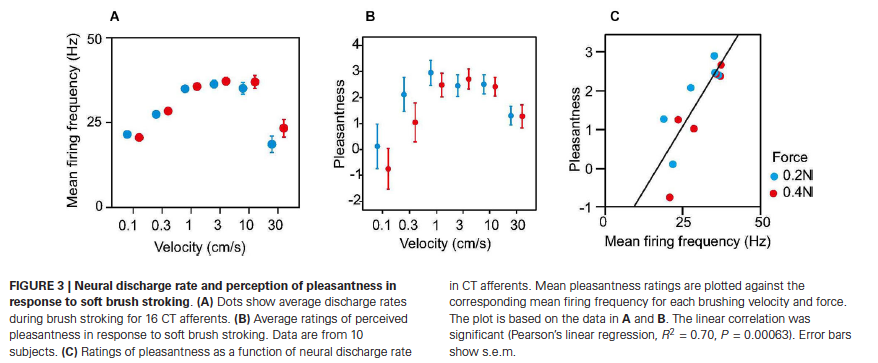 Graphs of neural discharge rate and perception of pleasantness in response to soft brush stroking.