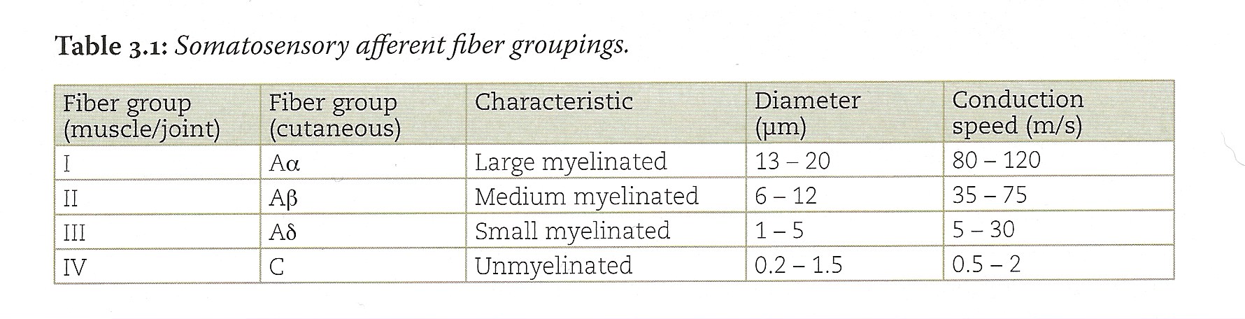 Table showing classification of somatosensory afferent fibers