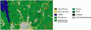 example of thematic raster data