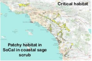 Patchy habitat in southern California for gnatcatcher.