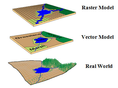 A square parcel of land represented as Raster, Vector, and Real World