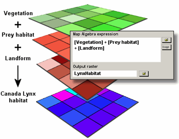 iOverlay of vegetation, prey habitat, and landform to identify Canada Lynx habitatmage