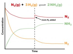 Adding more nitrogen in the Haber-Bosch process generates additional ammonia