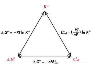 A diagram is shown that involves three double headed arrows positioned in the shape of an equilateral triangle. The vertices are labeled in red. The top vertex is labeled “K standard.“ The vertex at the lower left is labeled “delta G standard” The vertex at the lower right is labeled “E standard subscript cell.” The right side of the triangle is labeled “E superscript degree symbol subscript cell equals ( R T divided by n F ) l n K superscript degree symbol.” The lower side of the triangle is labeled “delta G superscript degree symbol equals negative n F E superscript degree symbol subscript cell.” The left side of the triangle is labeled “delta G superscript degree symbol equals negative R T l n K superscript degree symbol.”