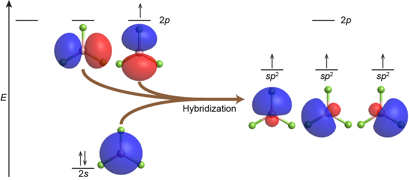 Figure 4. In the BF3 molecule, hybridization of the 2s and two 2p AOs of th...