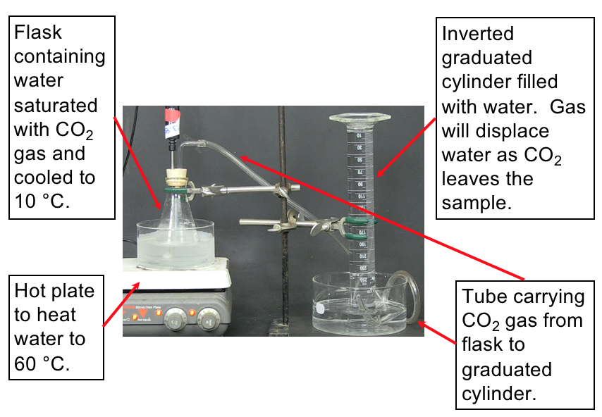 On the left side, an Erlenmeyer flask containing water saturated with CO2 gas is in an ice bath to cool the solution to 10 degrees celsius. The ice bath is set on a hot plate to warm the water during the experiment. On the right side of the image, a graduated cylinder is filled with water and inverted in a water bath. A stopper on the Erlenmeyer flask from the left side has a tube that carries the released CO2 gas from the flask to a graduated cylinder on the right side of the image. As gas enters the inverted graduated cylinder, it will displace the water and the amount of CO2 released from the water and CO2 solution in the Erlenmeyer flask will be measured.