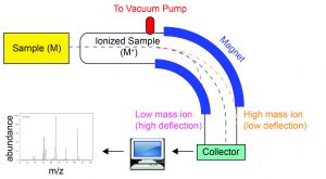 Isotopes, Atomic Mass, And Mass Spectrometry (M2Q3) – UW-Madison ...