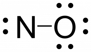 Rough lewis structure for NO. Nitrogen is singly bonded to oxygen. Nitrogen has one lone pair for a total of four electrons around it while oxygen has an octet.