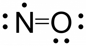 Completed lewis structure for NO. There are two bonds between nitrogen and oxygen, and the free radical is placed on the nitrogen.