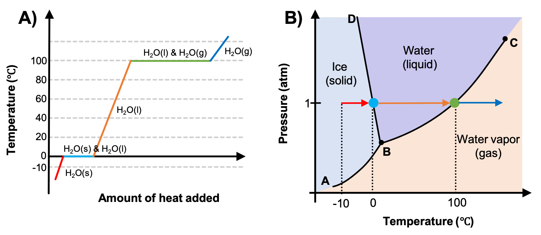 This figure has a part “A” and “B”. In part A, we see a heating curve for water. The Y axis is labeled “Temperature (degrees Celsius)” and the X axis is labeled “Amount of heat added”. The data shows a red line that is labeled “H2O(s)” that start at -10 degrees celsius and increases to 0 degrees celsius. Then there is a light blue horizontal line that is labeled with “H2O(s) & H2O(l)” for the melting of ice. An orange line is labeled with “H2O(l)” as the liquid water is heated from 0 degrees to 100 degrees. A green horizontal line is labeled with “H2O(l) & H2O(g)” and represents the boiling of water. A dark blue line is labeled with “H2O(g)” and represents the temperature change of the gas after all the liquid has been vaporized. In part B of the figure, there is a phase diagram with the Y axis labeled “Pressure (atm)” and the X axis labeled “Temperature (degrees Celsius)”. The typical phase diagram for water is shown. A line extends from the origin of the graph which is labeled “A” sharply upward to a point in the bottom third of the diagram labeled “B” where it branches into a line that slants slightly backward until it hits the highest point on the y-axis labeled “D” and a second line that extends to the upper right corner of the graph labeled “C”. The two lines bisect the graph area to create three sections, labeled “Ice (solid)” near the middle left, “Water (liquid)” in the top middle and “Water vapor (gas)” near the bottom middle. A red arrow starts at the point (-10, 1) and points right toward increasing temperature. A dotted line extends downward to the x axis to indicate that it starts at -10 degrees celsius. This red arrow corresponds to the heating of the ice in part A of the figure which was also colored red. The arrow ends at the line that separates the solid and liquid. On the line between solid and liquid, there is a light blue dot that corresponds to the light blue dot on the heating curve as the ice melts. There is a dotted line that extends downward to 0 degrees from the light blue point. During this melting process, there is no arrow because the temperature remains constant. Then an orange arrow begins at 0 degrees and extends to the right until the phase boundary between liquid and gas. A green point is on this line, with a dotted line that extends to the x axis that shows that it exists at 100 degrees. This is the vaporization of the liquid and no temperature change occurs at this point. Then a dark blue arrow points to the right to indicate heating of the gas. The colors of the arrows and points correlate between the heating curve in part A and the phase diagram in part B.
