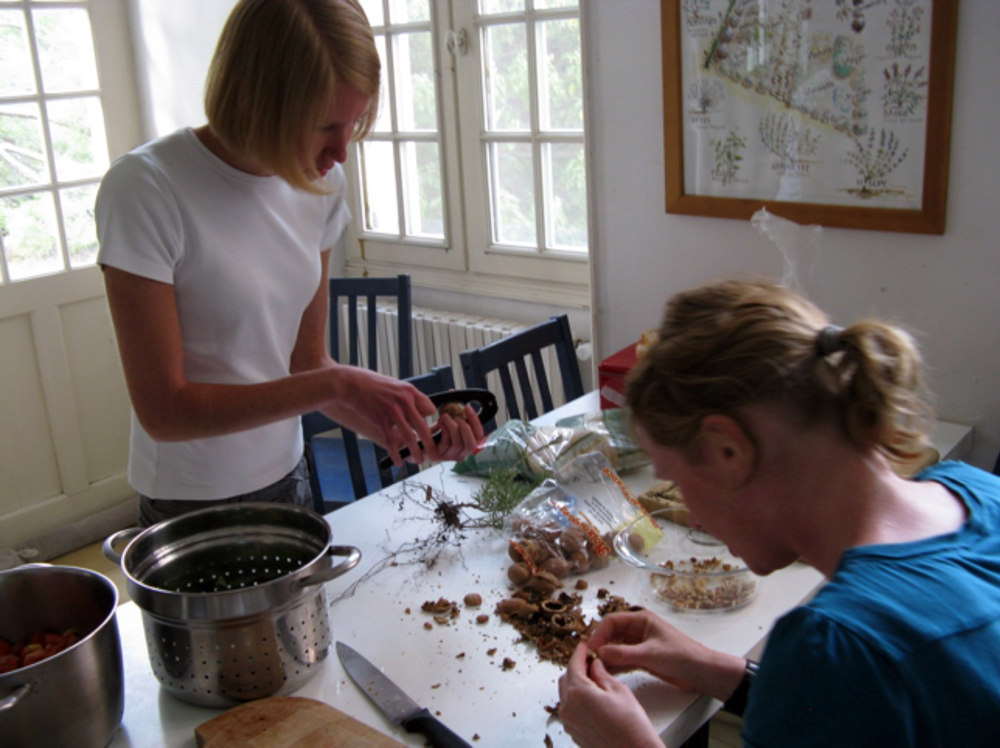 two people at a table peeling nuts and surrounded by produce