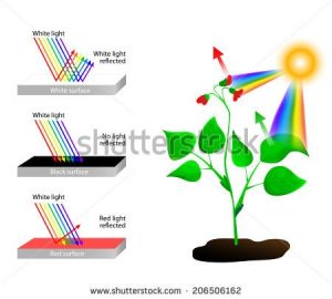 Spectral reflectance diagram