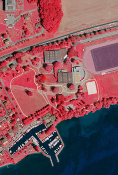 Switzerland's False-Color Infrared Orthophotomosaic