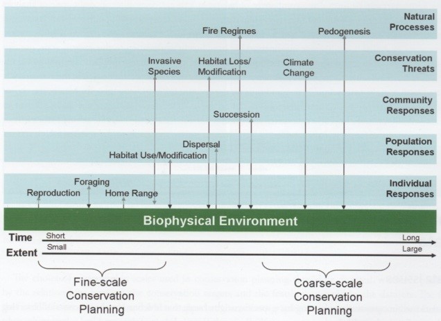 Figure 3.2 from Craighead & Convis, pg. 55