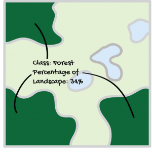 Forest Percentage of Landscape