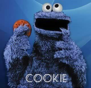 Picture of Cookie Monster