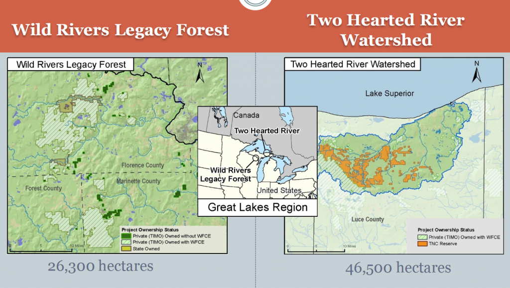 figures from author’s Forest Scenarios study