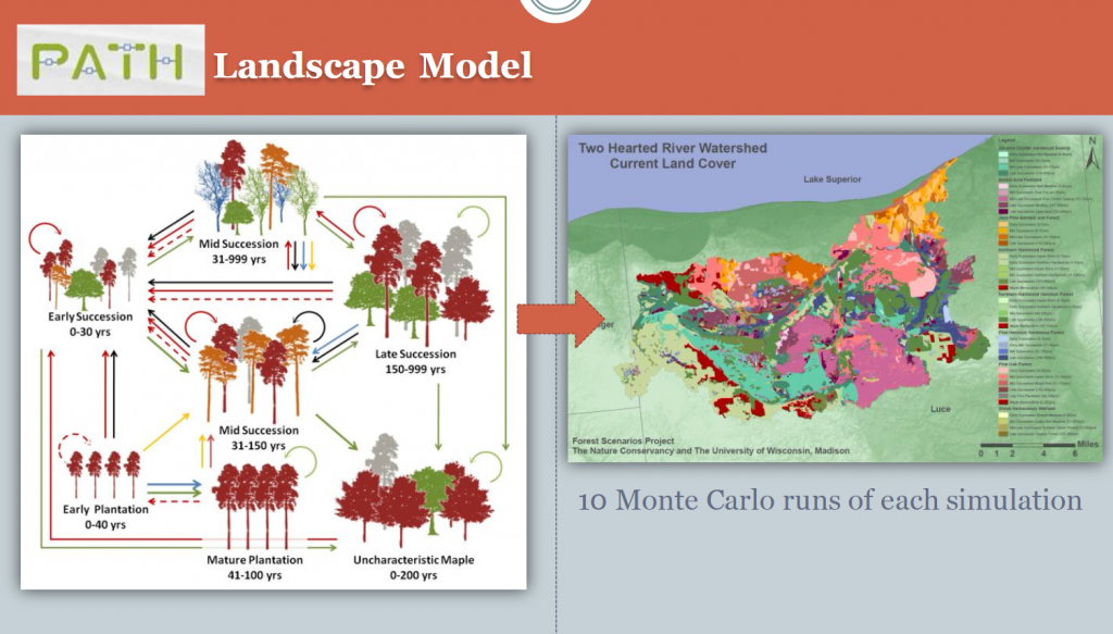 figures from author’s Forest Scenarios study