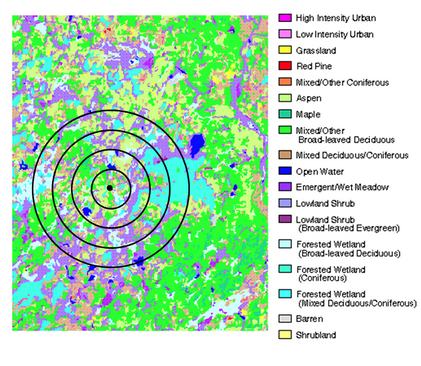 Landcover map with varying buffer distances from wolf den. Figure by A.White, MS Thesis, UW-Madison