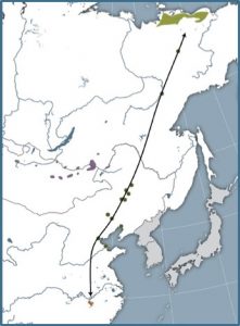 Eastern migratory flyway of Siberian Cranes, photo courtesy of Claire Mirande, International Crane Foundation