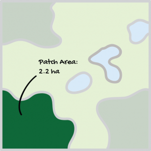 Patch Area example