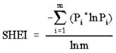 SHEI formula