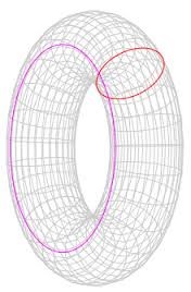 Torus image