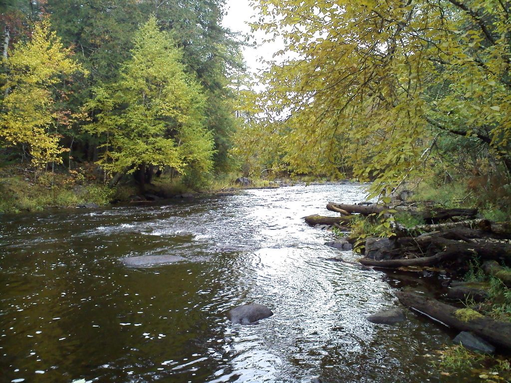 Photo by author, Popple River, Wild Rivers Legacy Forest, Wisconsin