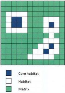 Buffer core example