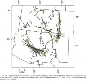 Representation of a landscape showing graph nodes and networks