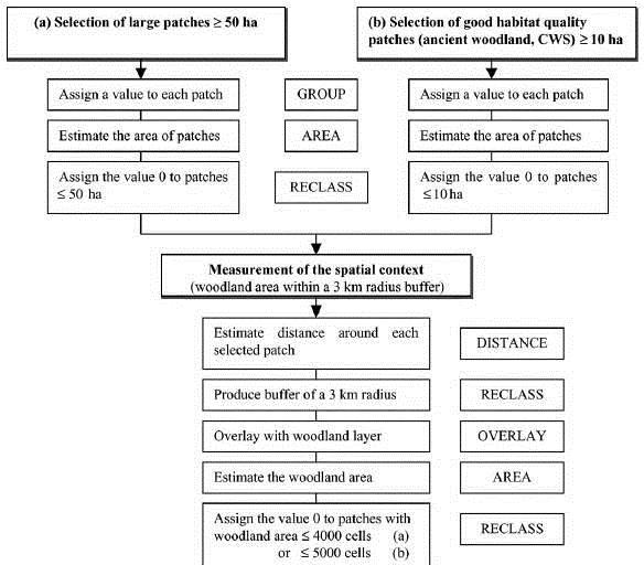 Source Patch diagram