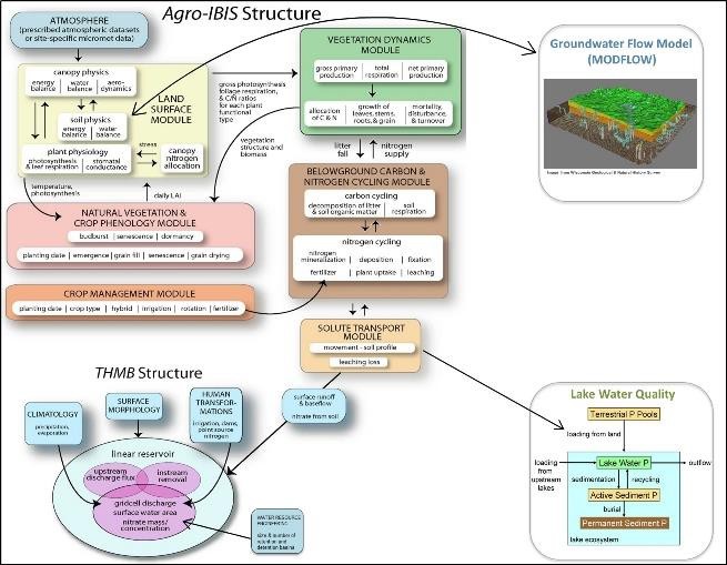 Agro-IBIS Structure Model