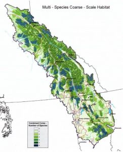 Multi-species course Scale Habitat map