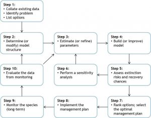 PVA flowchart