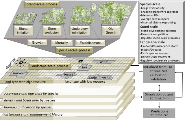 Species scale graphic