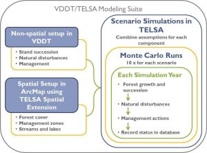 TELSA figure