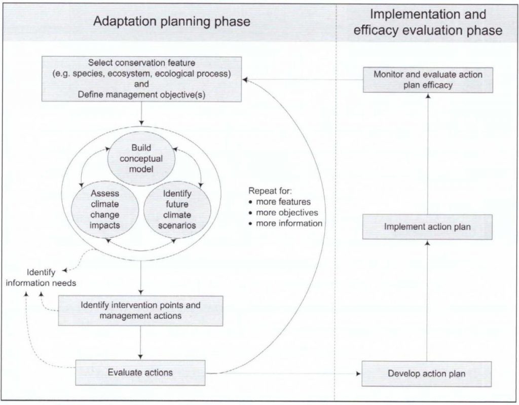 Chart of adaptation