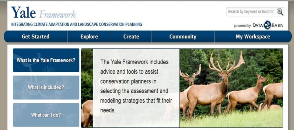 Web page from Yale Framework