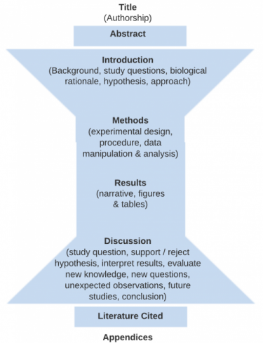 Structure of a biocore lab report (see pdf for machine-readable version)