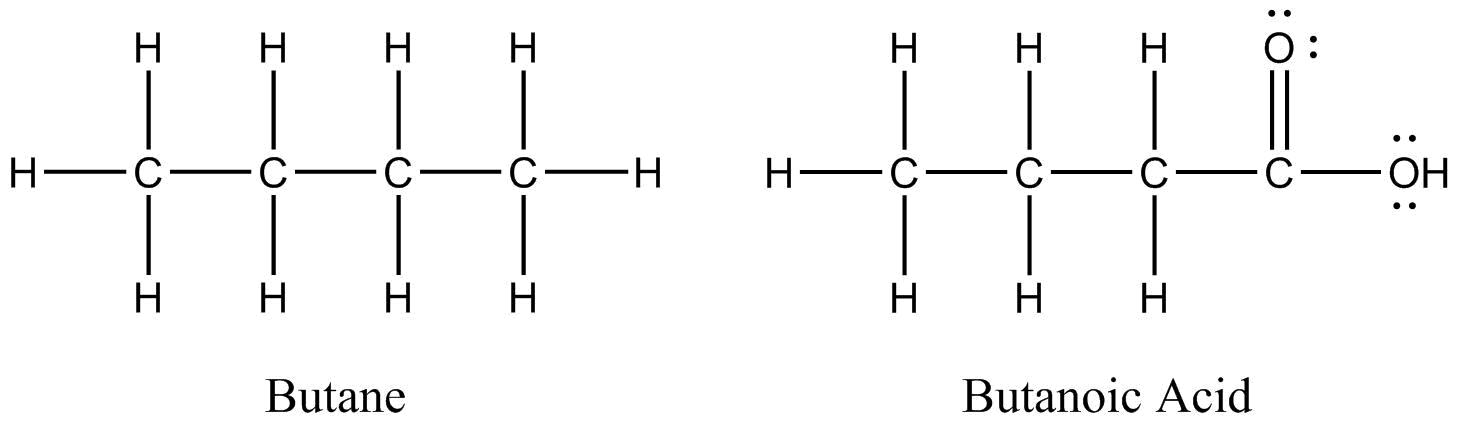 Two Lewis structures; the Lewis strucutre on the left is butane and the Lewis structure on the right is butanoic acid. . All bonds, lone pairs and atoms are shown in Lewis structures.