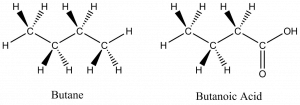 Two dash wedges structures are shown: the structure on the left is butane and the structure on the right in butanoic acid. The molecules have straight line to indicate bonds within a plane and uses wedges to show bond coming out of the plan toward the view and uses dashed lines to show bonds going out of the plane away from the viewer.